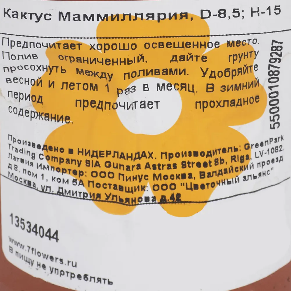 Кактус Мамиллярия 8.5х15 см 12500707 STLM-2207182 Santreyd  - Вид №2