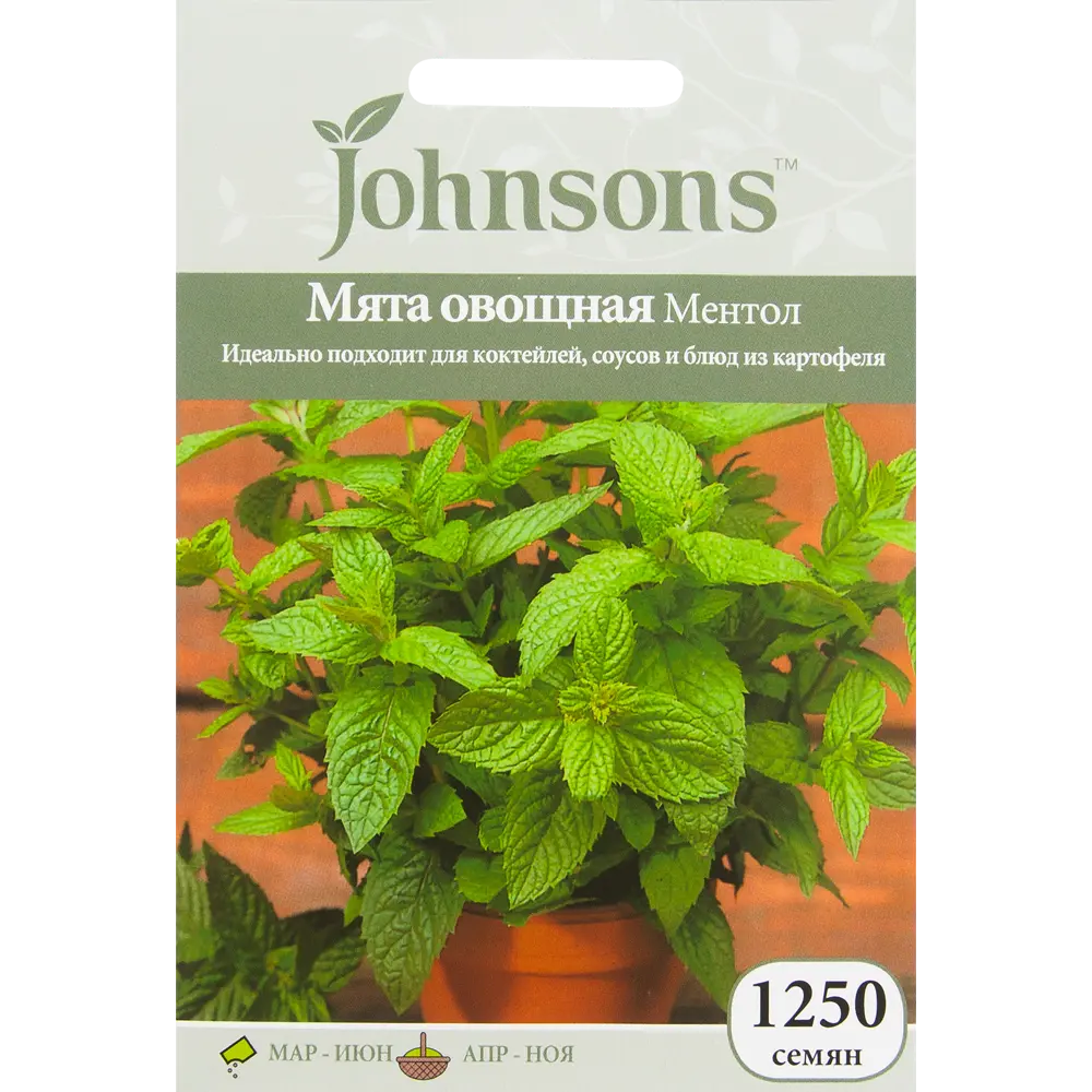 Семена Мята овощная «Ментол» 1250 шт JOHNSONS STLM-2054797