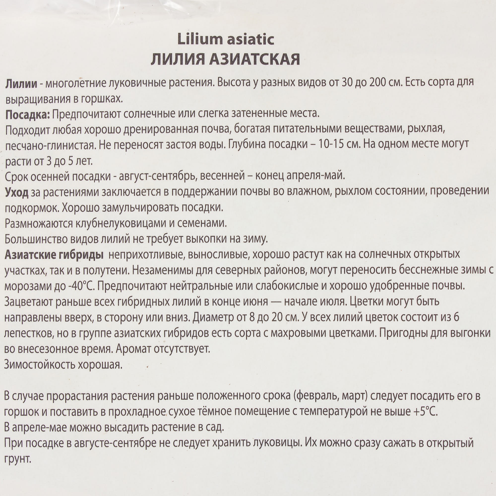 81945448 Лилия азиатская Центерфолд 1 шт Santreyd  - Вид №2