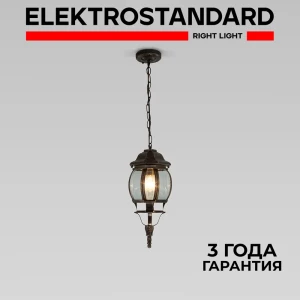 Светильник подвесной уличный Elektrostandard GL 1001H Farola 60 Вт IP33 цвет черное золото