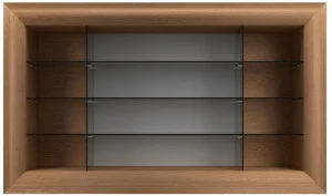 EXENZA Настенный книжный шкаф из дерева и стекла