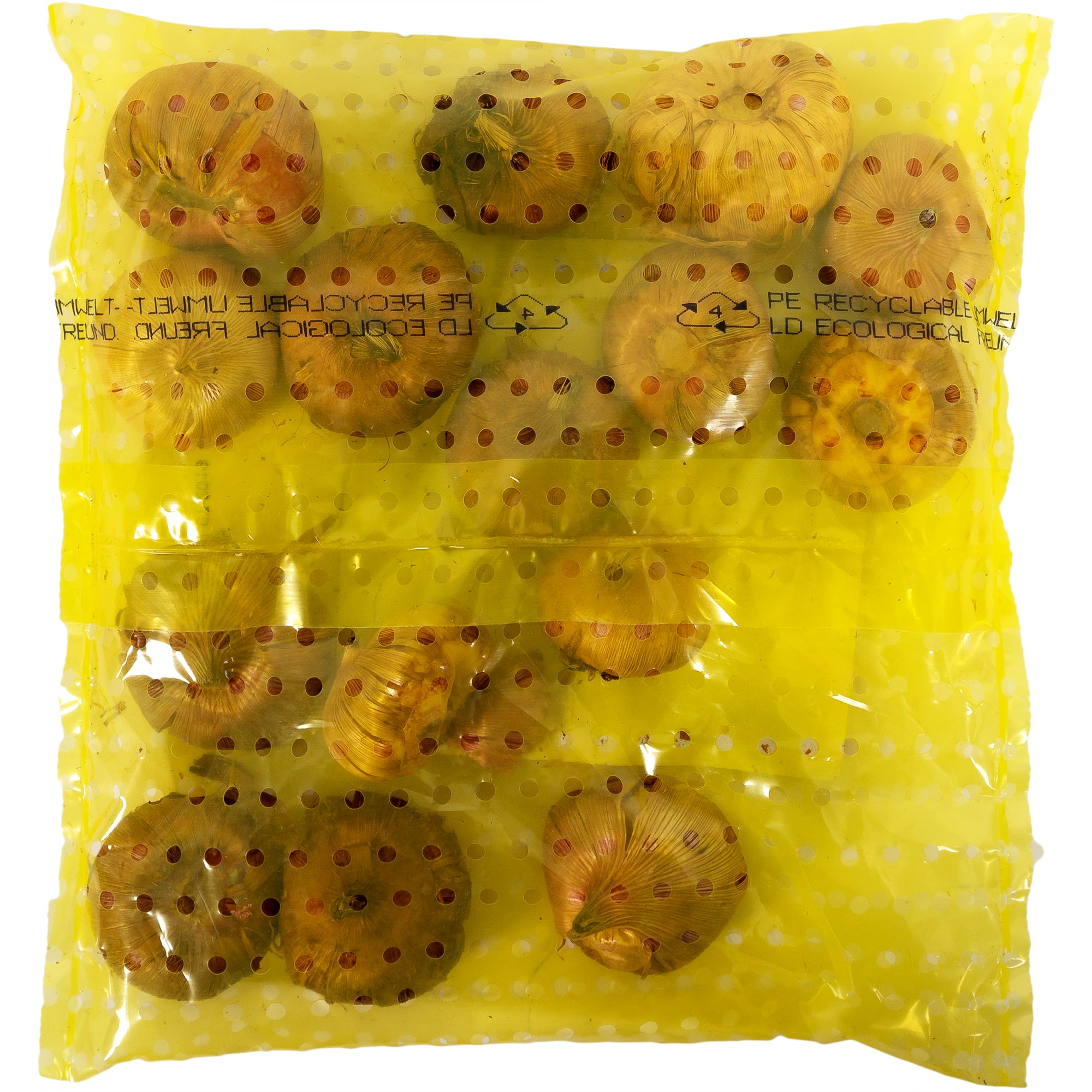 17511317 Гладиолус «Германский микс» Santreyd  - Вид №1