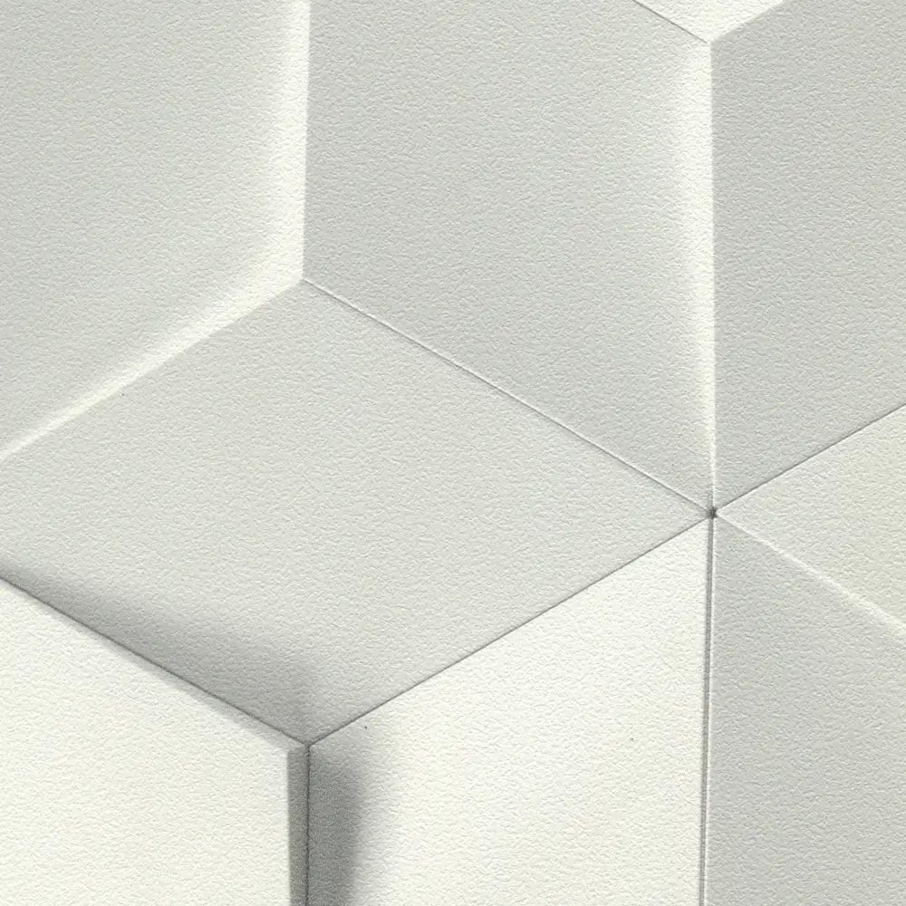 Обои флизелиновые Rasch Modern Art серые 0.53 м 622331 82133019 STLM-2030447 - Вид №1