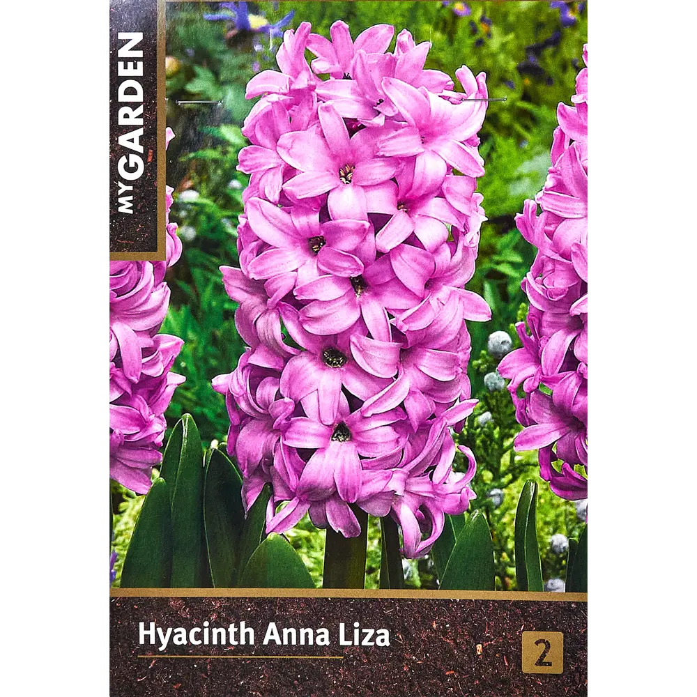 Гиацинт садовый Анна Лиза, 2 шт Santreyd STLM-2137645