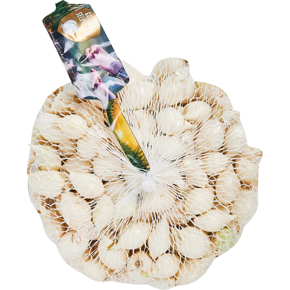 Лук-севок «Стардаст» 14/21 упаковка 0.45 кг Santreyd STLM-2008125