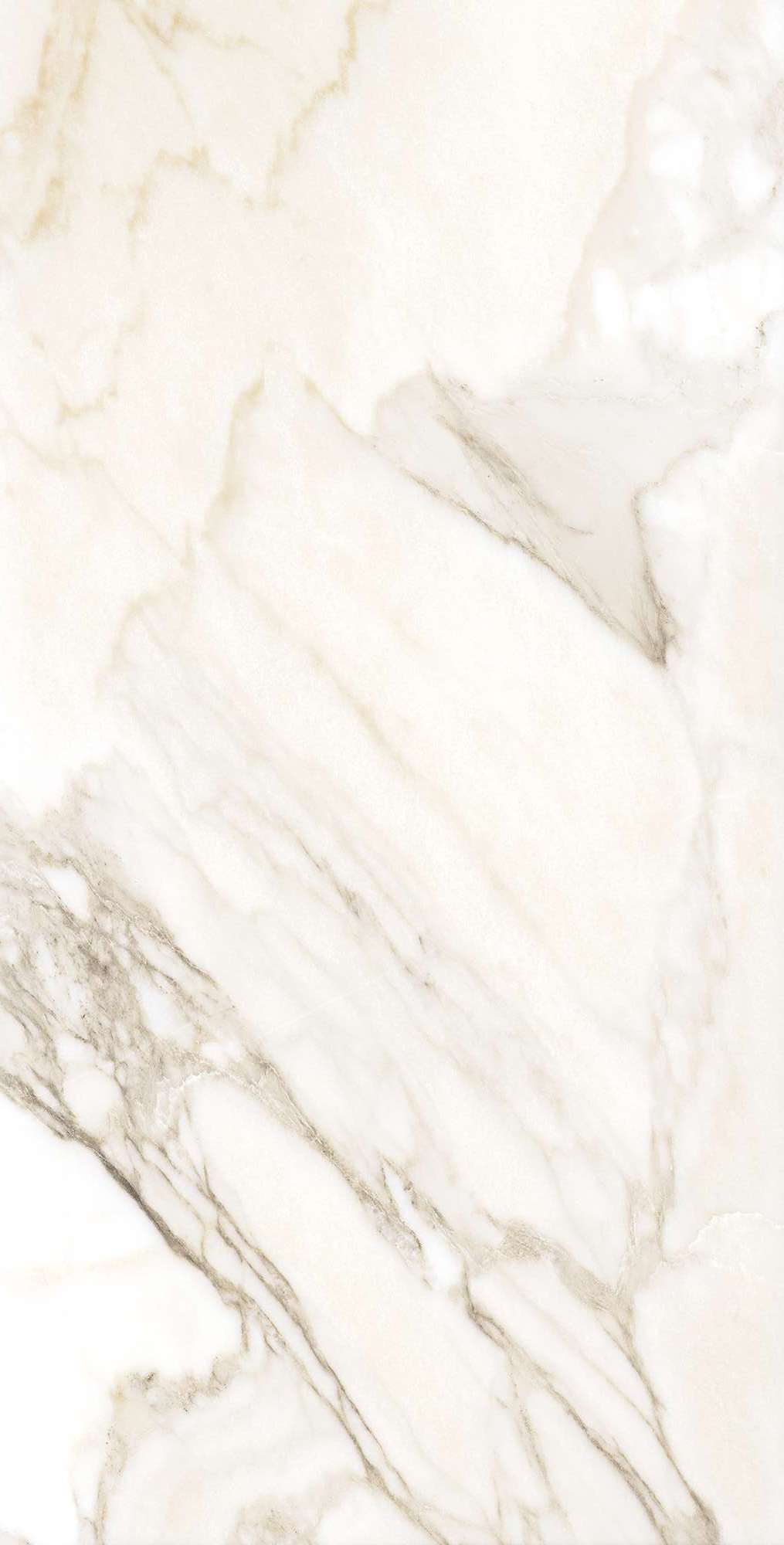 Керамогранит AURORA BEIGE 60х120 Arcadia Ceramica FP1016-A STLM-1576875 89396418  - Вид №8