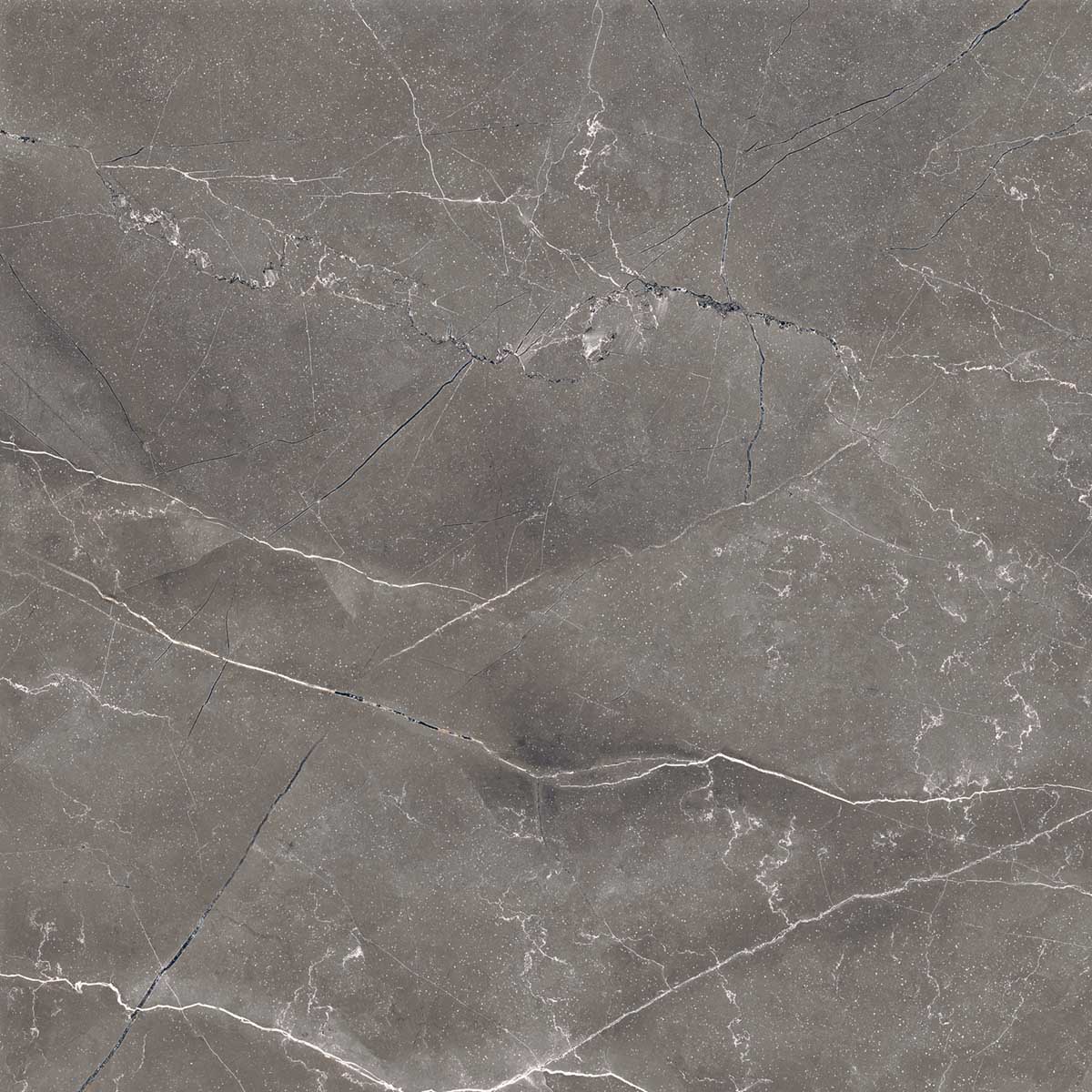 Керамогранит PULPIS NERO 60х60 Arcadia Ceramica FP1014-A STLM-2172557 84855266 - Вид №4