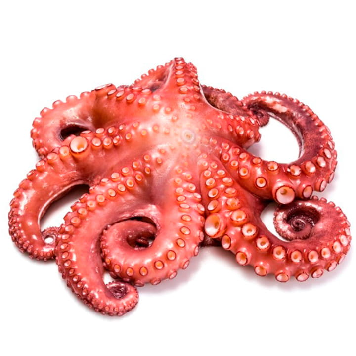 Осьминог свежемороженый 3 - 4 кг Santreyd 11790 - Вид №1