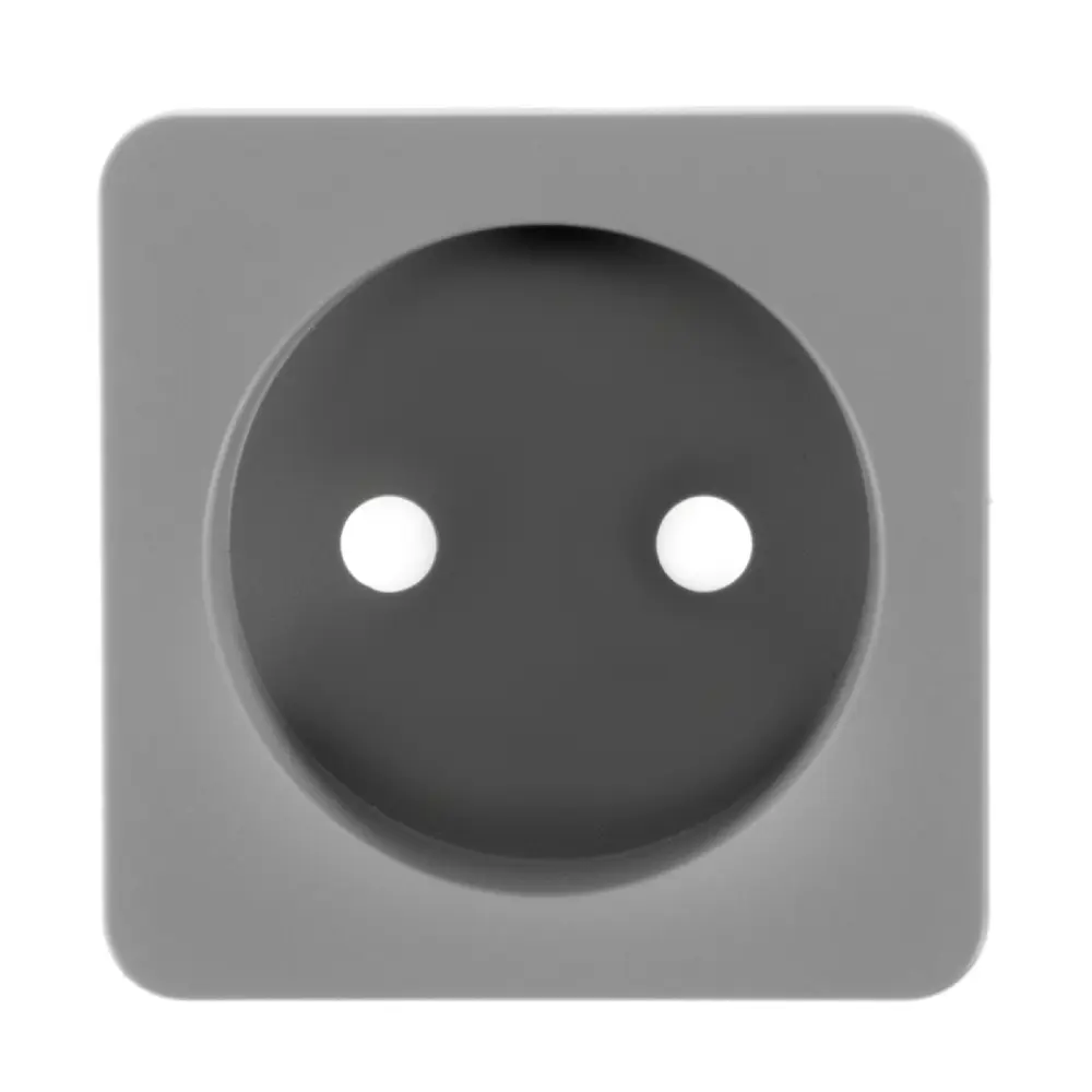 Накладка для розетки без заземления Lexman Cosy, цвет серый STLM-2092421
