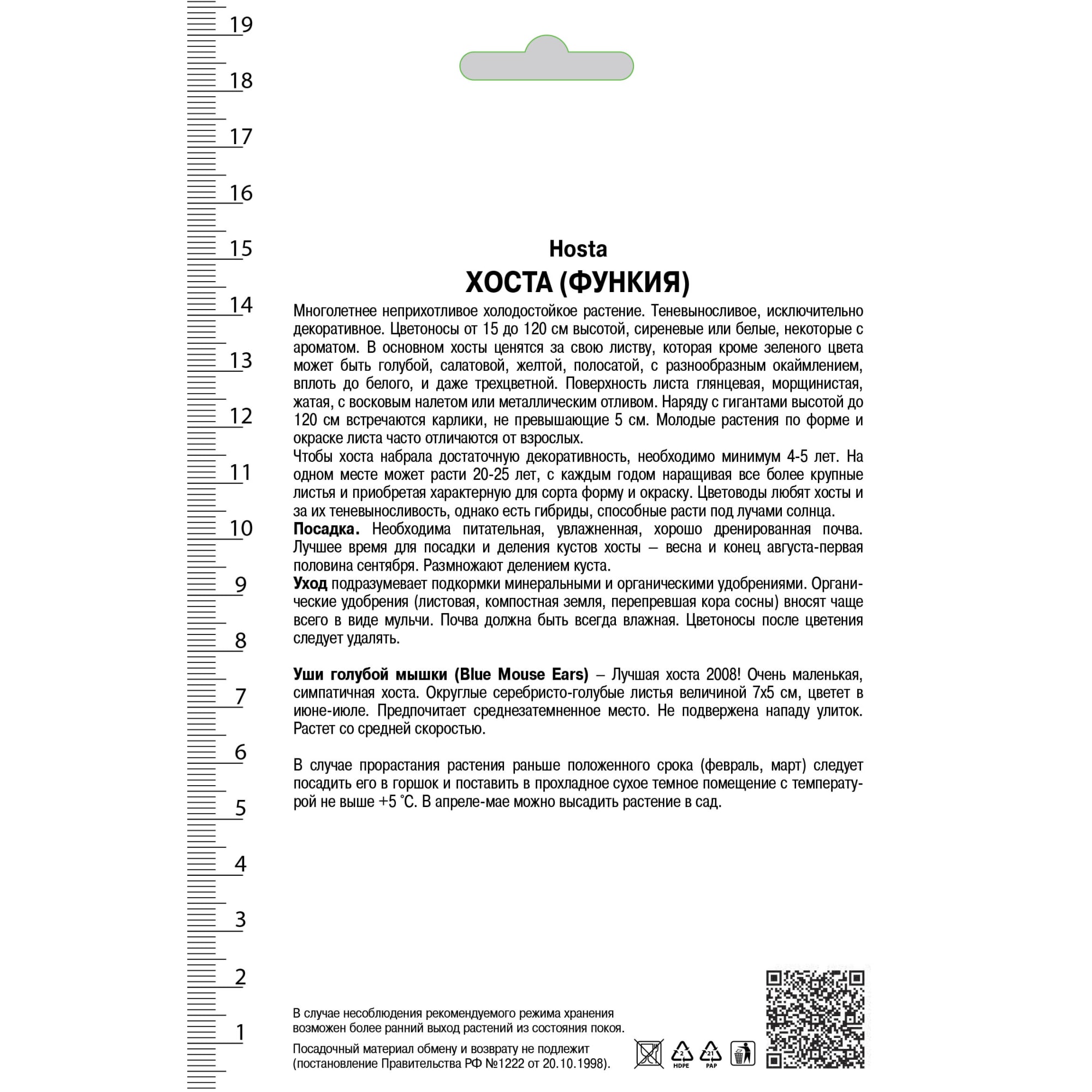 82118739 Хоста гибридная «Блу Маус Ирс», 1 шт Santreyd  - Вид №1