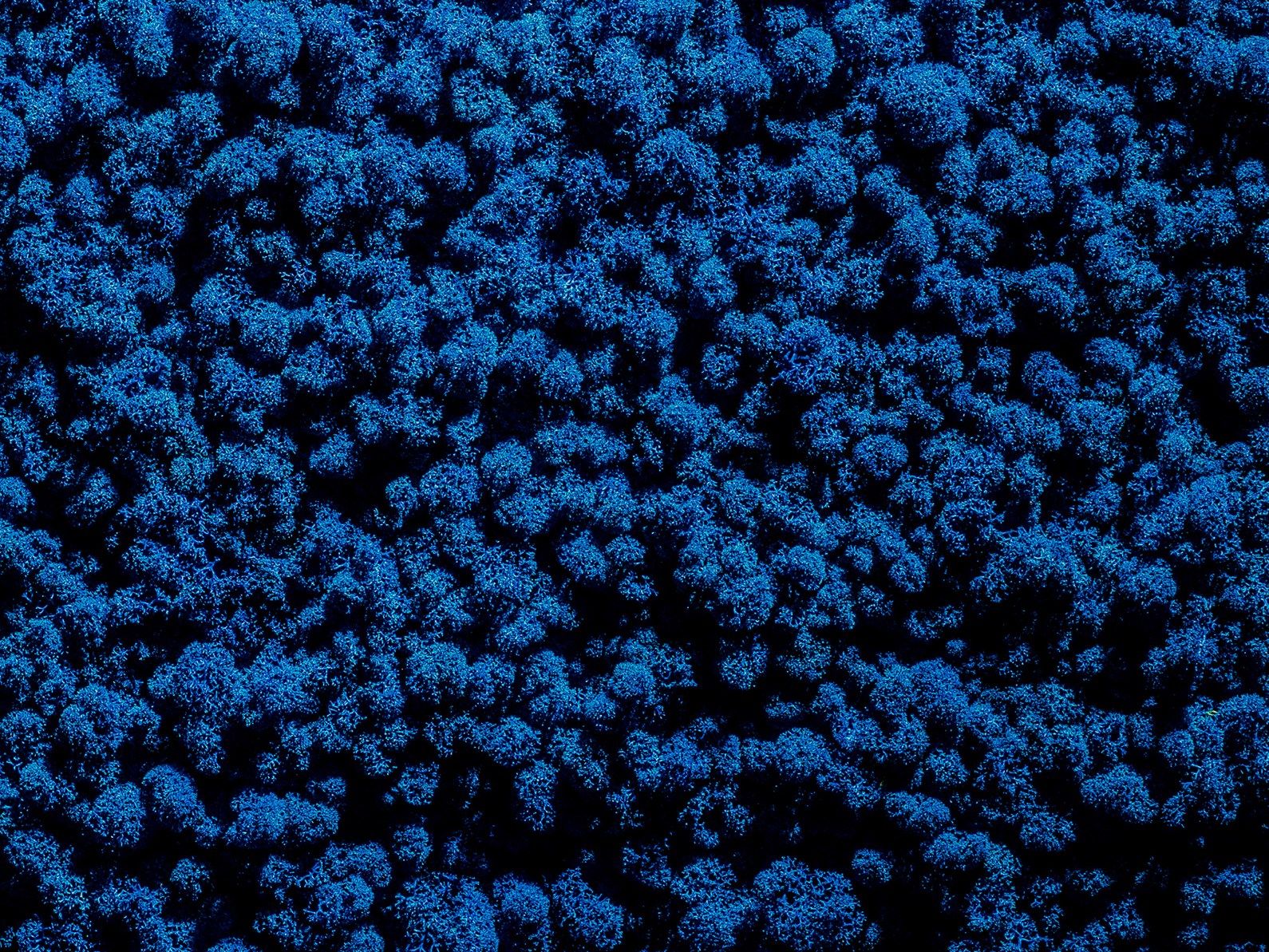 Растительная стена из мха Freund GmbH Green ARCH-00131248 - Вид №22