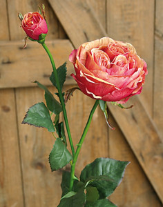 3270 553 a3 Искусственная роза Эквадор, 95 см, абрикос H-andreas