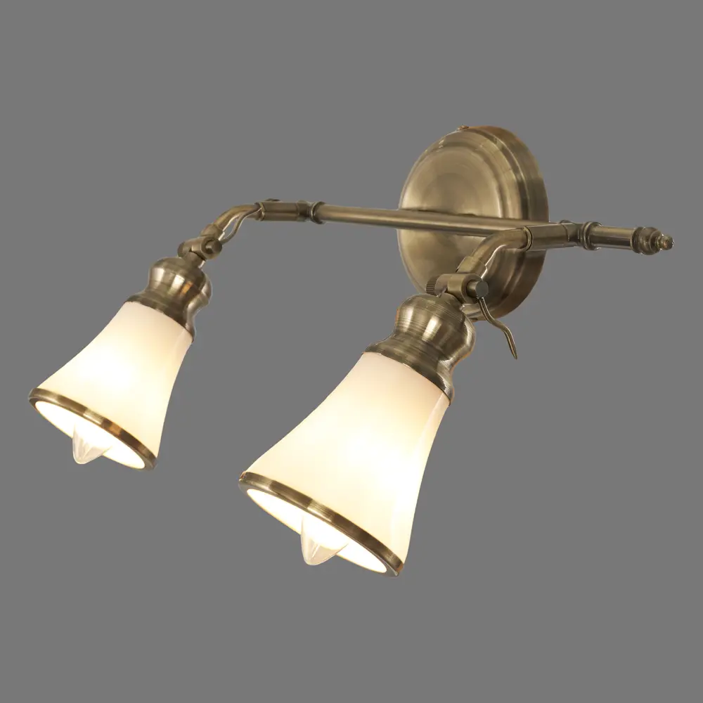 Спот поворотный Veno 2xE14x40 Вт металл цвет бронза Arte Lamp STLM-2114316 - Вид №1