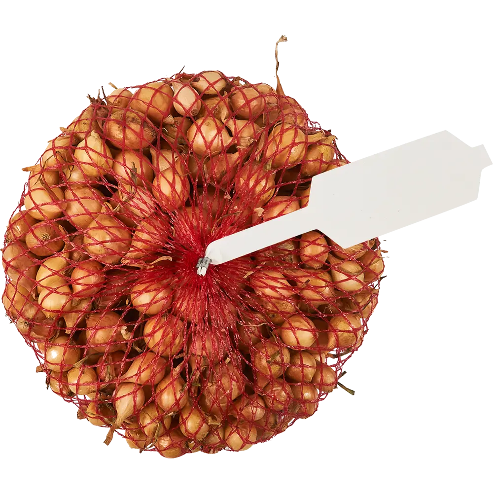 Лук-севок Штуттгартер ризен 0.5 кг Santreyd STLM-2023892