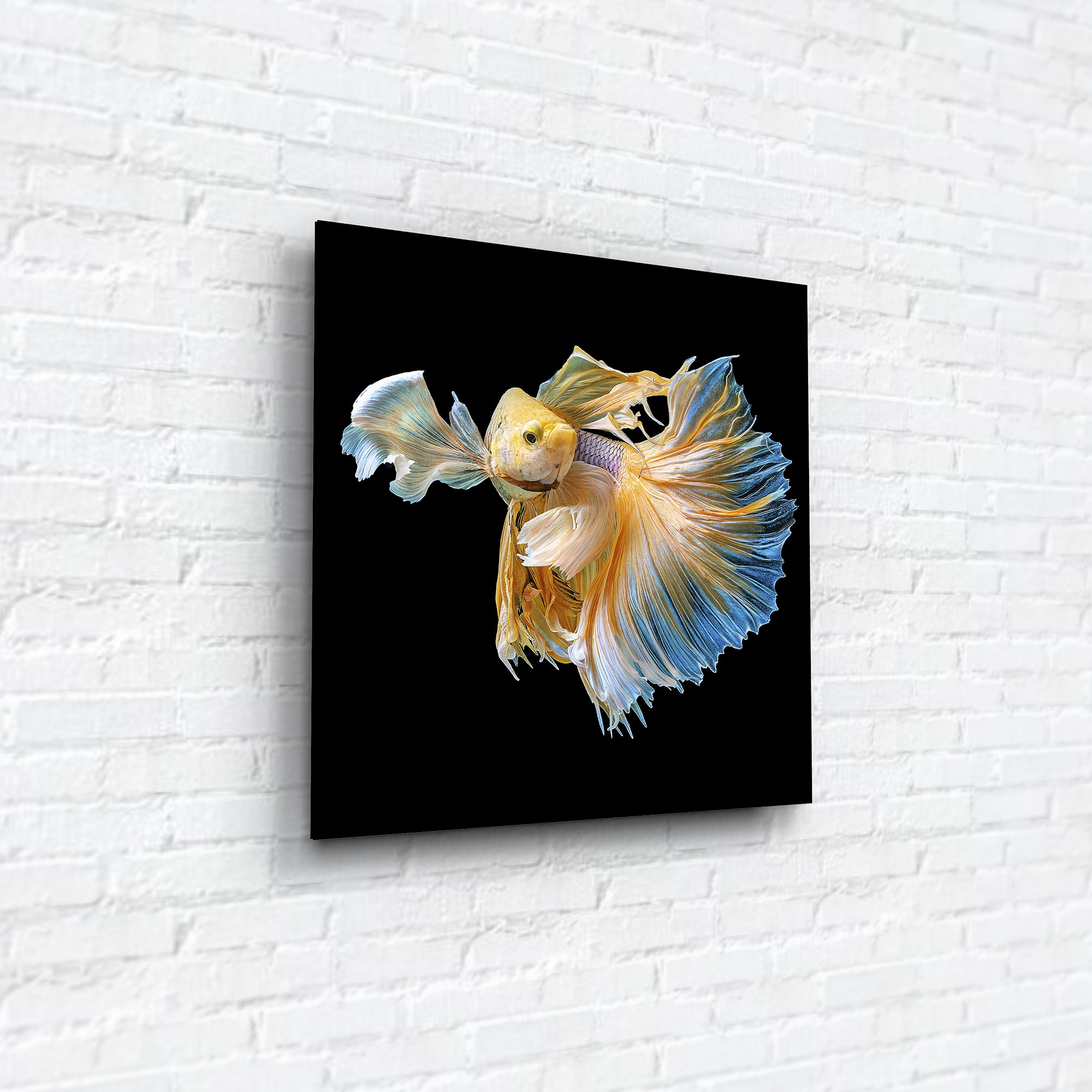 82523504 Картина на стекле «Рыба золотая» 40х40 см Santreyd  - Вид №3