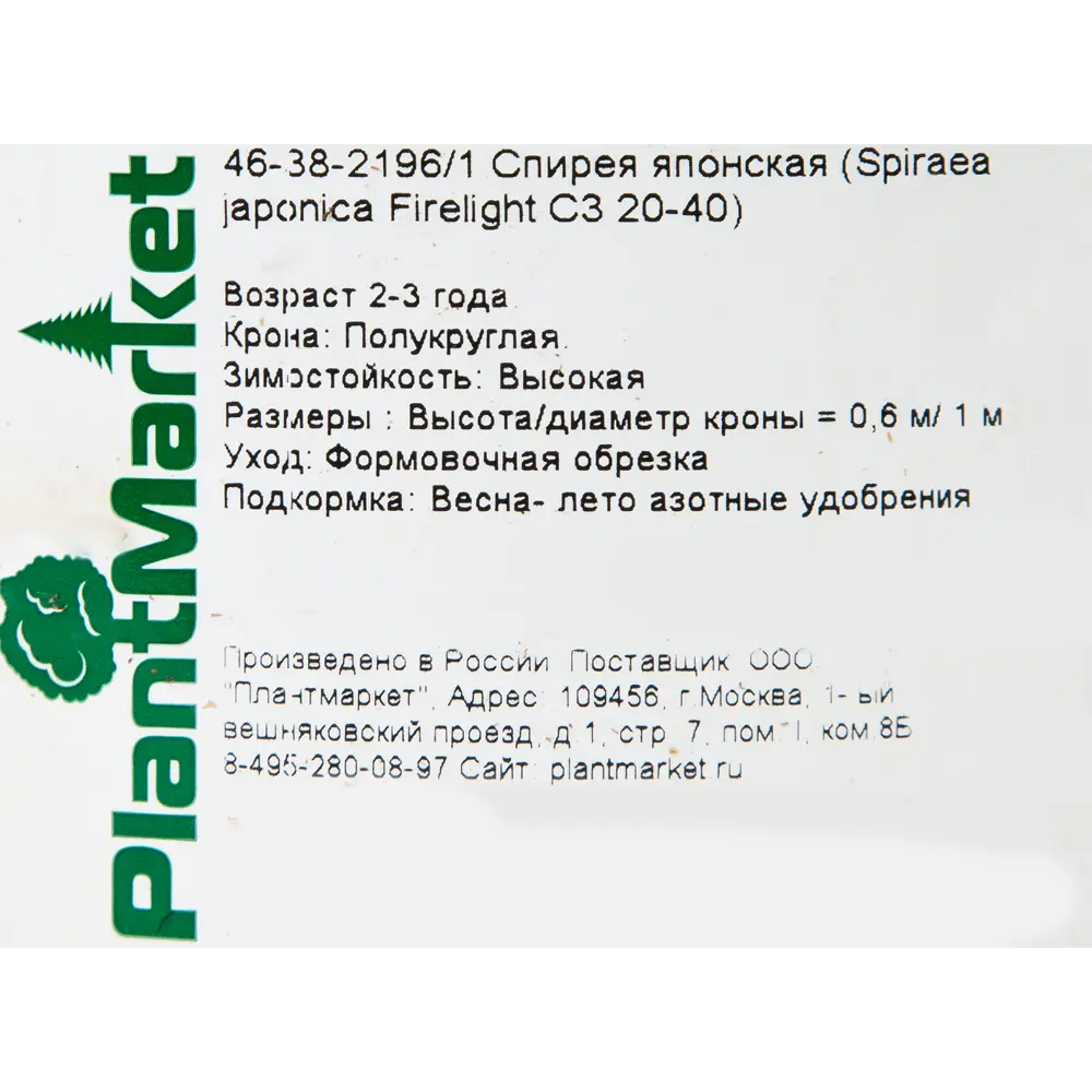 Спирея японская «Файерлайт» C3 20-40 см 82356734 STLM-2161096 PLANTMARKET  - Вид №1