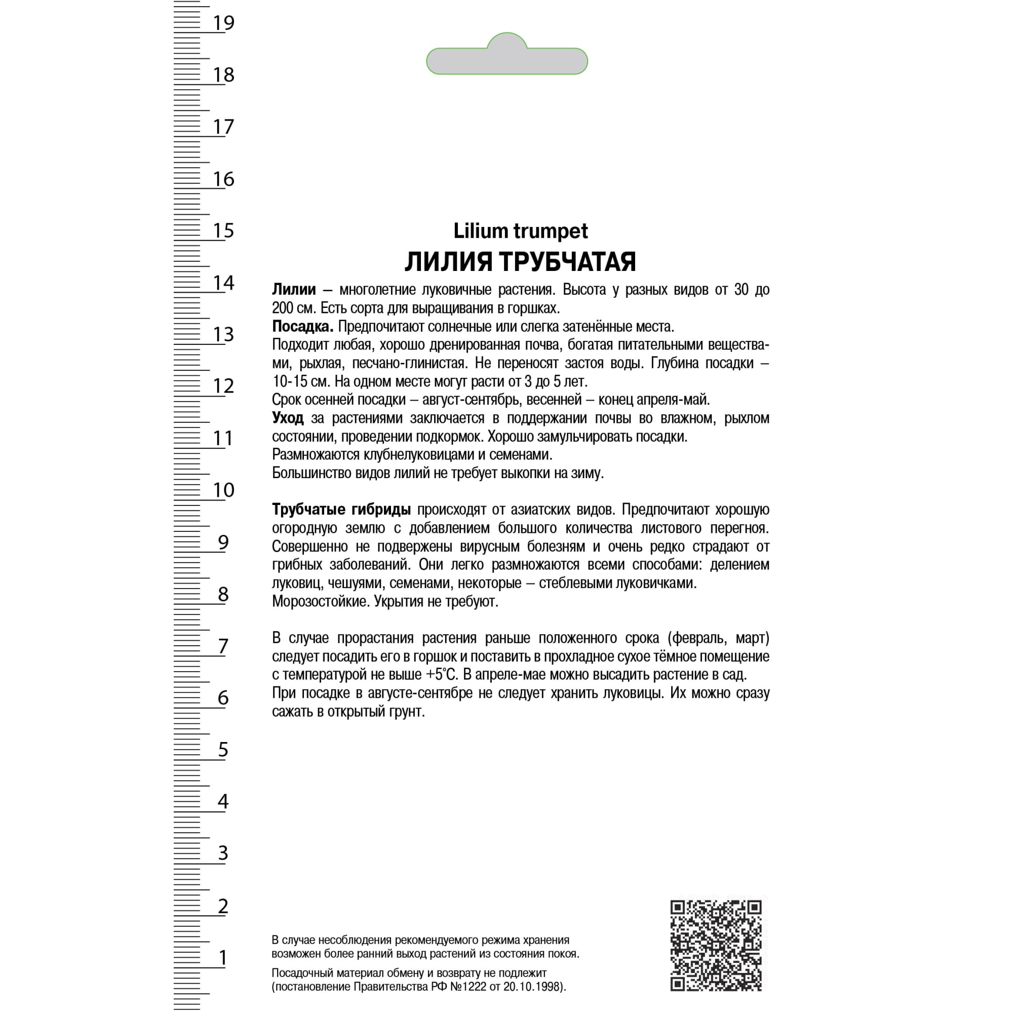82000198 Лилия трубчатая «Пинк Перфекшн», высота 50 см, 1 шт Santreyd  - Вид №1