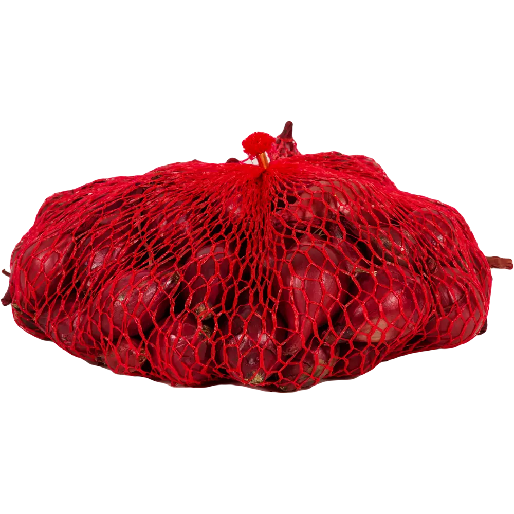 Лук-севок Ред Барон 14/21 мм 0.45 кг Престиж семена Santreyd STLM-2050348