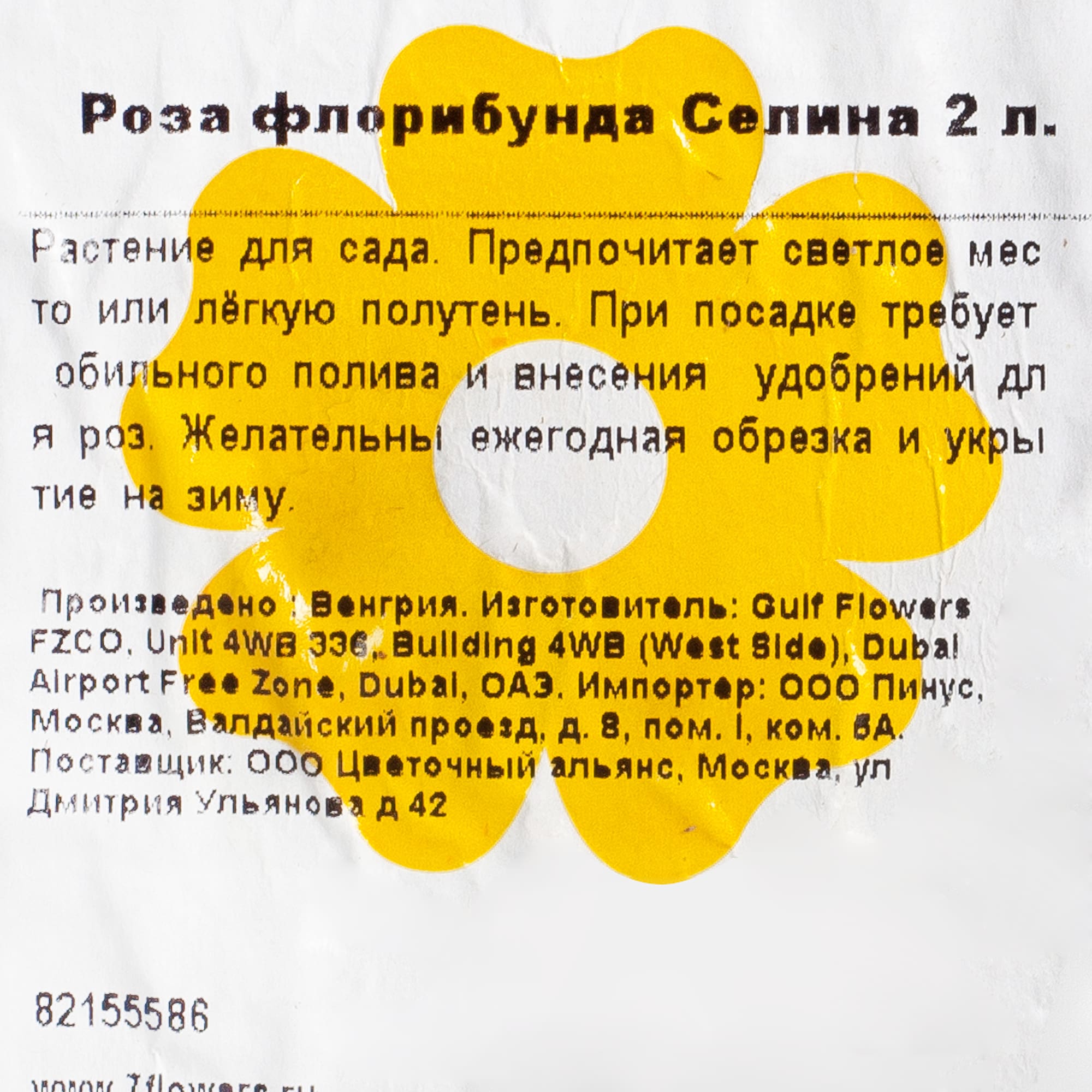 82155586 Роза флорибунда Селина 2 л Santreyd  - Вид №1