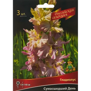 Гладиолус Сумасшедший день, 3 шт 86410004 STLM-2195003