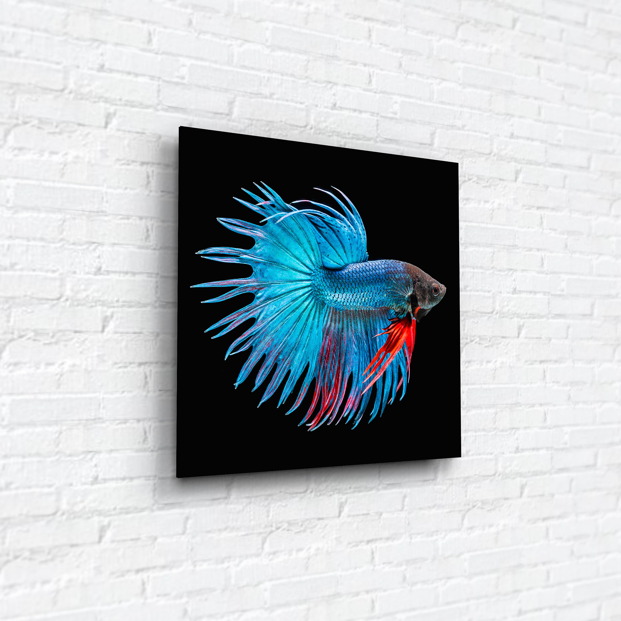 82523502 Картина на стекле «Рыба голубая» 40х40 см Santreyd  - Вид №3