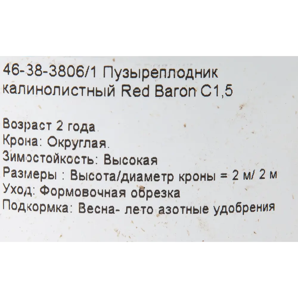 Пузыреплодник калинолистный «Ред Барон» C1.5 82174051 STLM-2018950 PLANTMARKET  - Вид №1