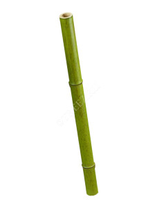 30.0611062SM Бамбук стебель полый св. зелёный толстый Цветочная коллекция