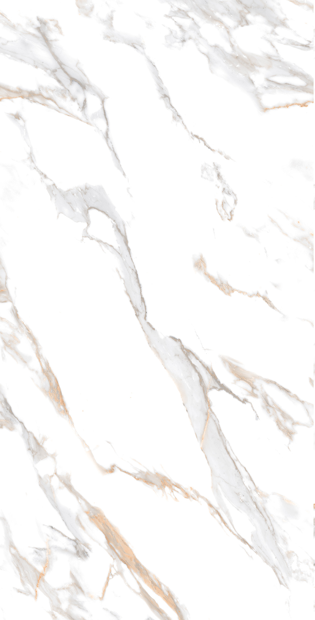 Керамогранит CALACATTA GOLD 60х120 Arcadia Ceramica CR4019-A - Вид №6