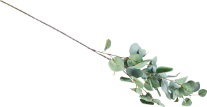 86393188 Искусственное растение Эвкалипт 92 см зеленый полиэстер STLM-0068459 ATMOSPHERA