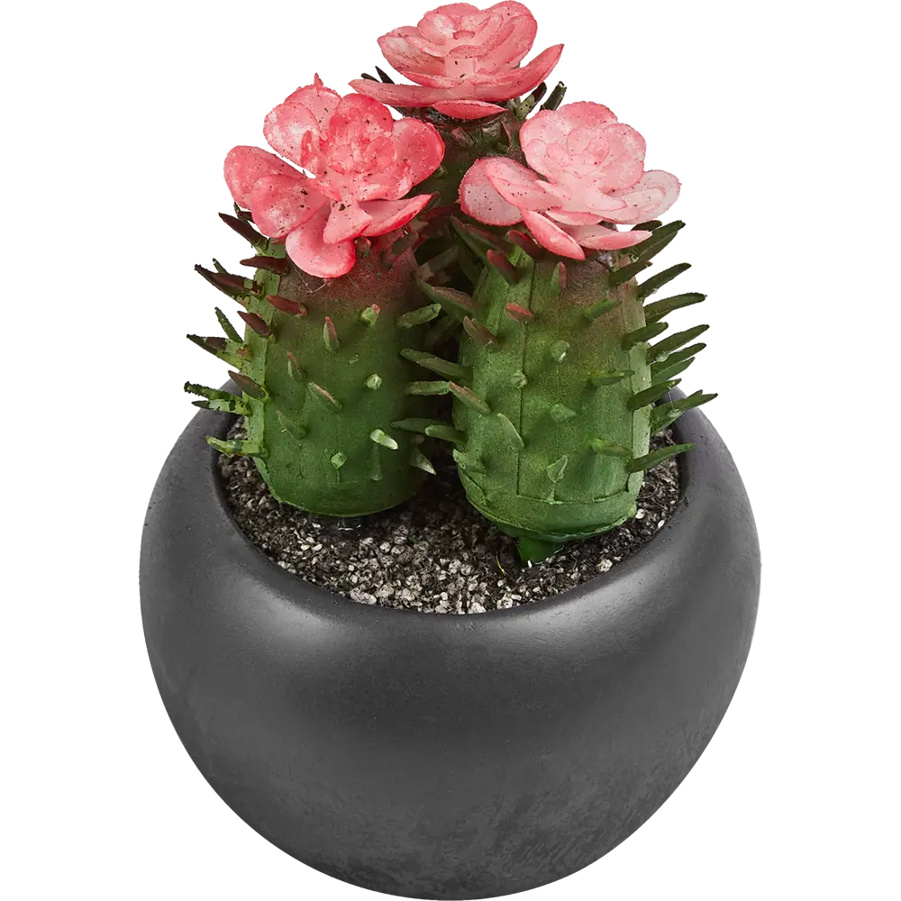 Искусственное растение в пластиковом горшке Atmosphera Кактус D6.3x11.5 см микс STLM-2119665 - Вид №3