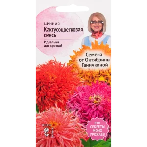 Цинния кактусоцветковая смесь окрасок 0.3 г