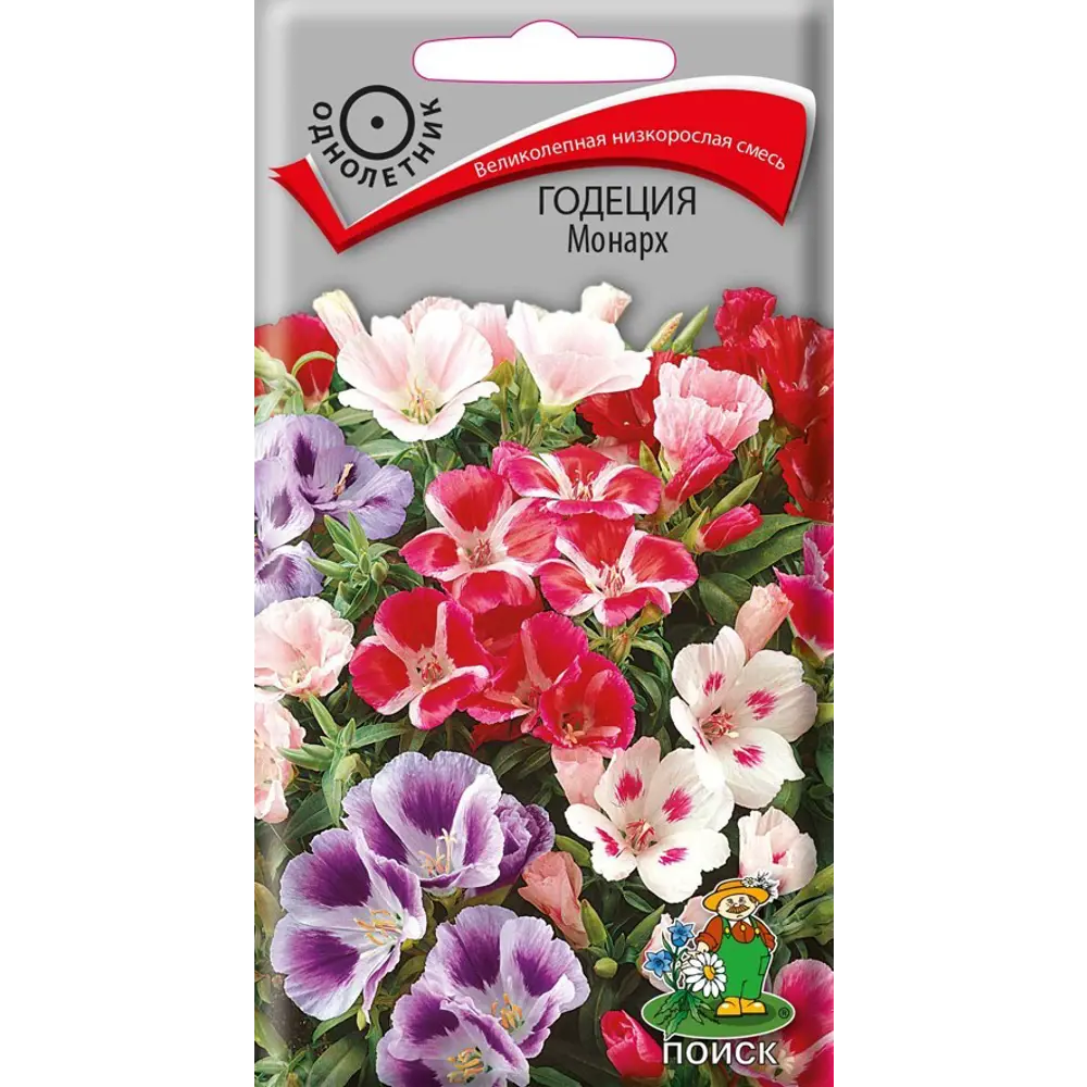 ПОИСК Годеция Монарх - раннецветущая смесь для изысканных бордюров 89401239 STLM-1578513