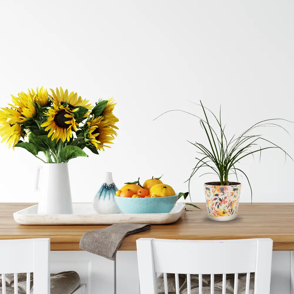 Santreyd Нолина рекурвата — бутылочное дерево для интерьера 82578949 STLM-1479820 - Вид №2