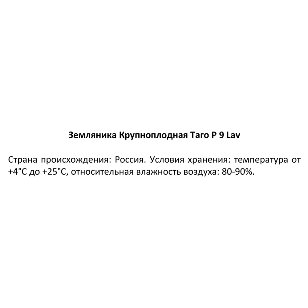 Земляника садовая Таго ø9 h25 см 87767411 STLM-2181186 Santreyd  - Вид №2