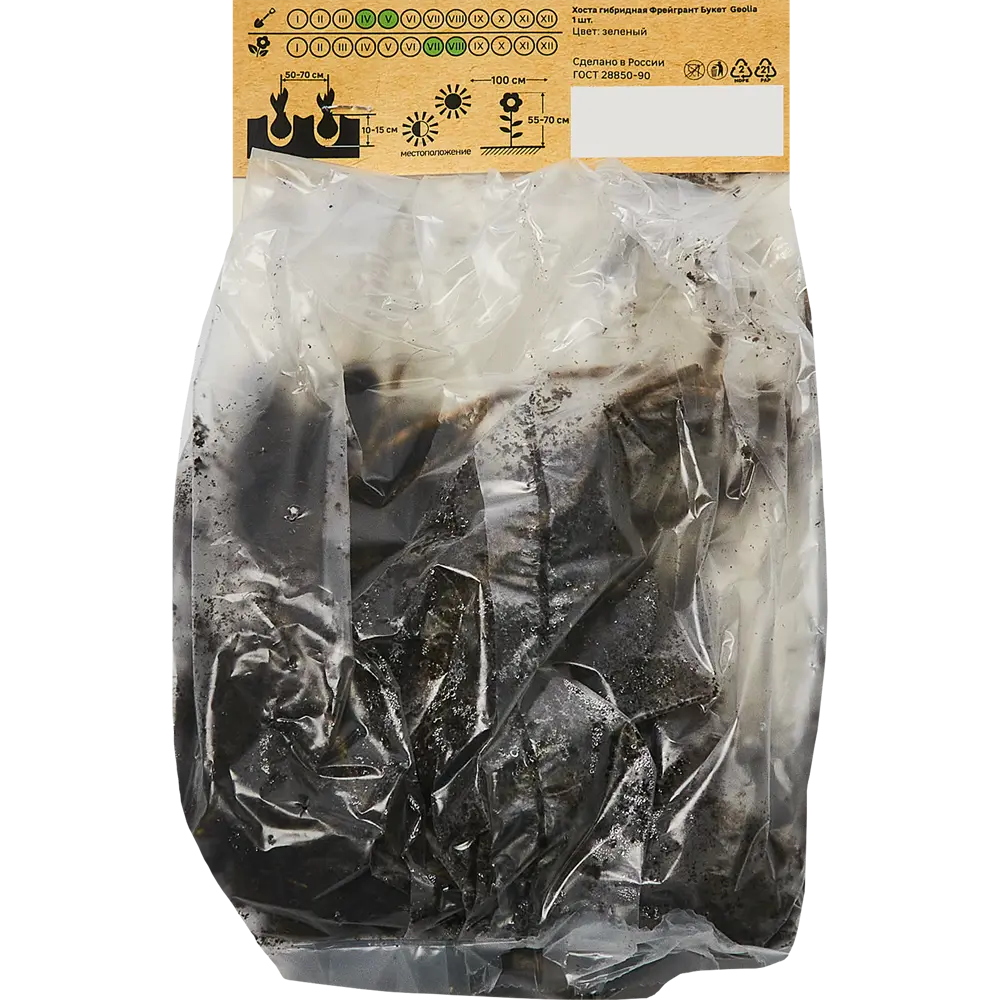 Хоста гибридная Фрейгрант Букет Santreyd STLM-2212405 - Вид №1