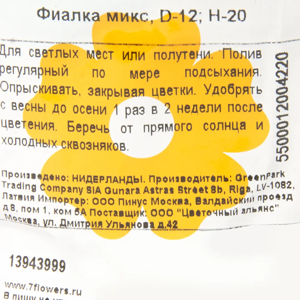 Фиалка микс 12х20 см 13943999 STLM-2112788 Santreyd  - Вид №2