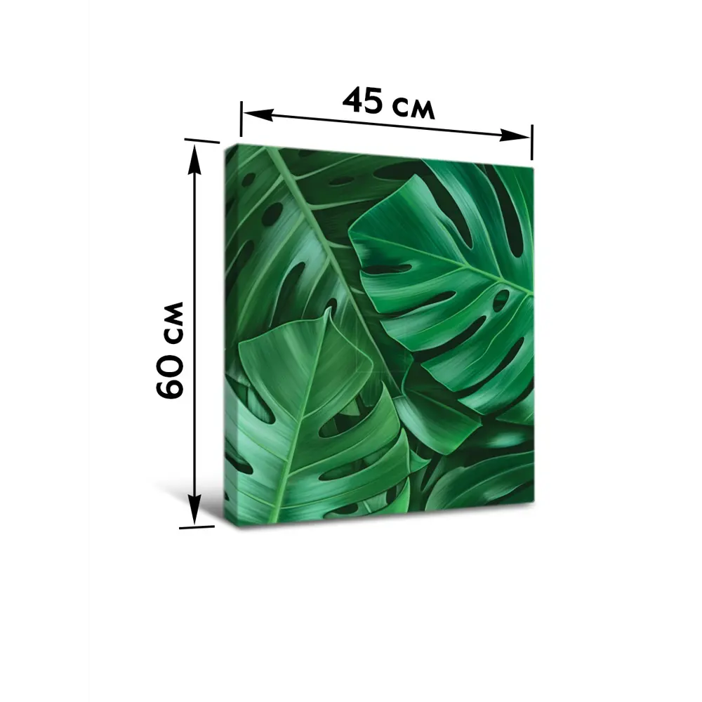 Картина модульная Монстера 45x60 см 2 шт POSTERMARKET STLM-2119514 - Вид №7