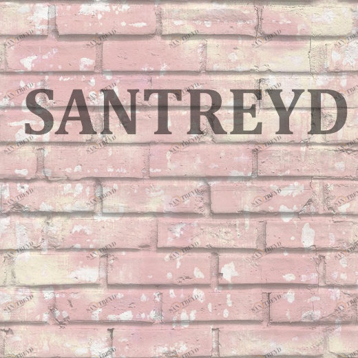 5684 Обои Cristiana Masi Friends & Coffee