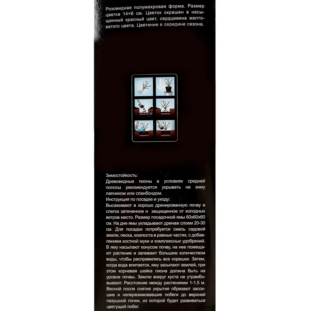 Пион древовидный «Даосский Храм» (в тубе) 81948475 STLM-2022403 Santreyd  - Вид №2