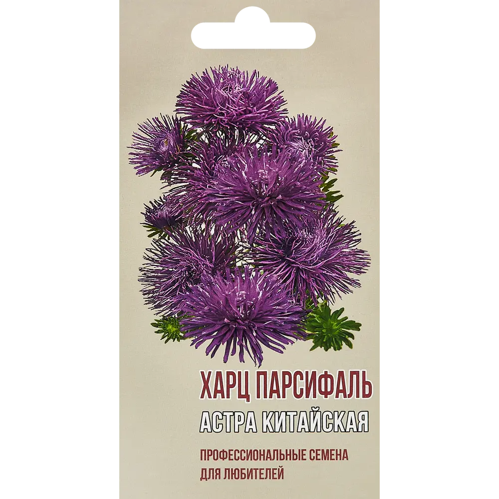 Астра китайская Харц Парсиваль 83601688 STLM-2154400 AGRONI 
