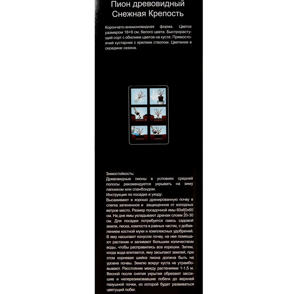 Пион древовидный «Снежная крепость» (в тубе) 81948481 STLM-2040711 Santreyd  - Вид №2