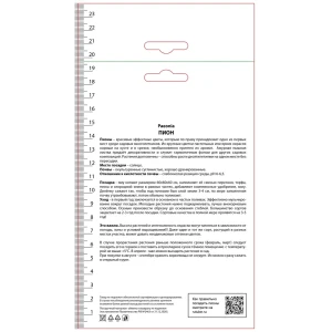 Пион молочноцветковый травянистый Черри Хилл 89452206 STLM-2206594