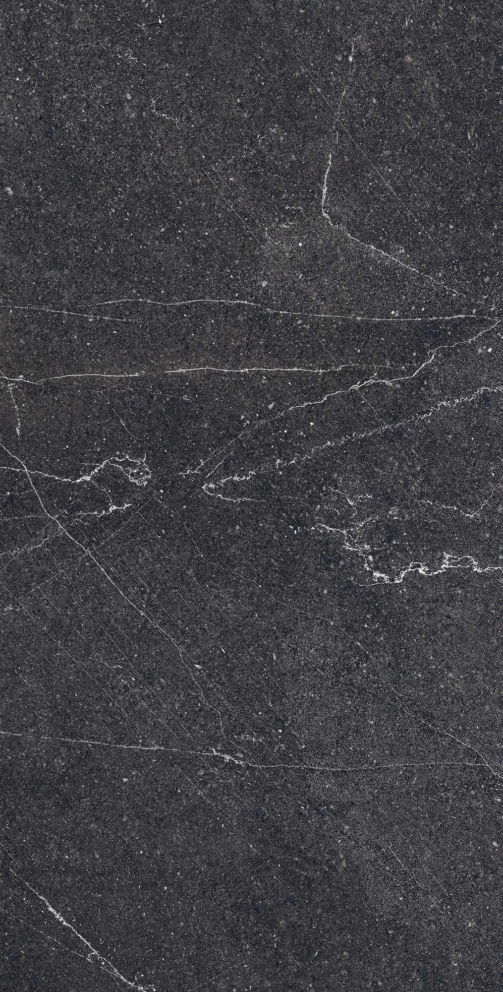 Графитовая элегантность EQUISTONE CHARCOAL RG6003-A Arcadia Ceramica - Вид №4