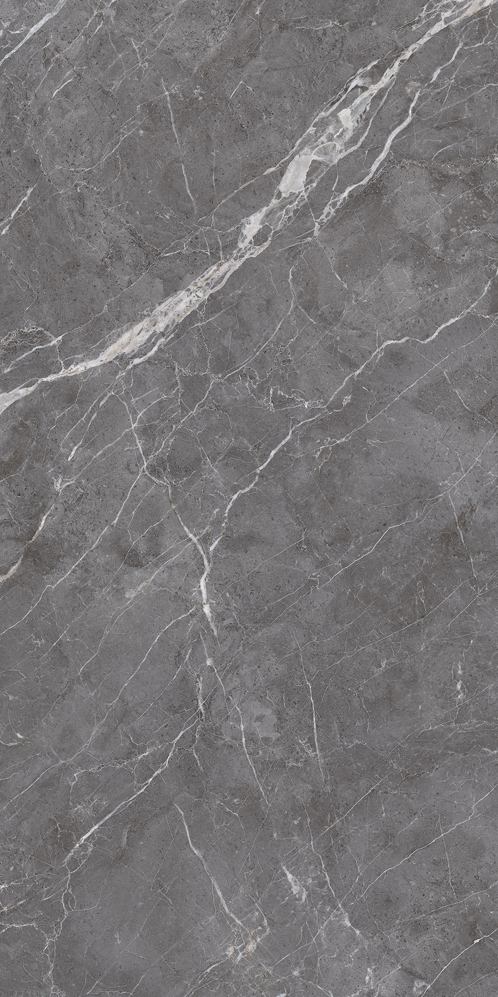Керамогранит ESPERIA GRIGIO LAPPATO 60х120 Arcadia Ceramica CL4003-A - Вид №4