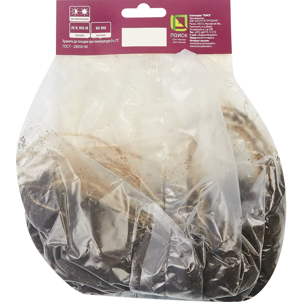 Хоста гибридная Голден Тиара ПОИСК STLM-2136278 - Вид №1