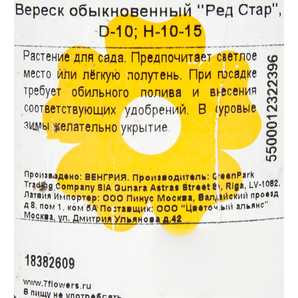 Вереск обыкновенный «Ред Стар», 10х10-15 см 18382609 STLM-2109960 Santreyd  - Вид №2