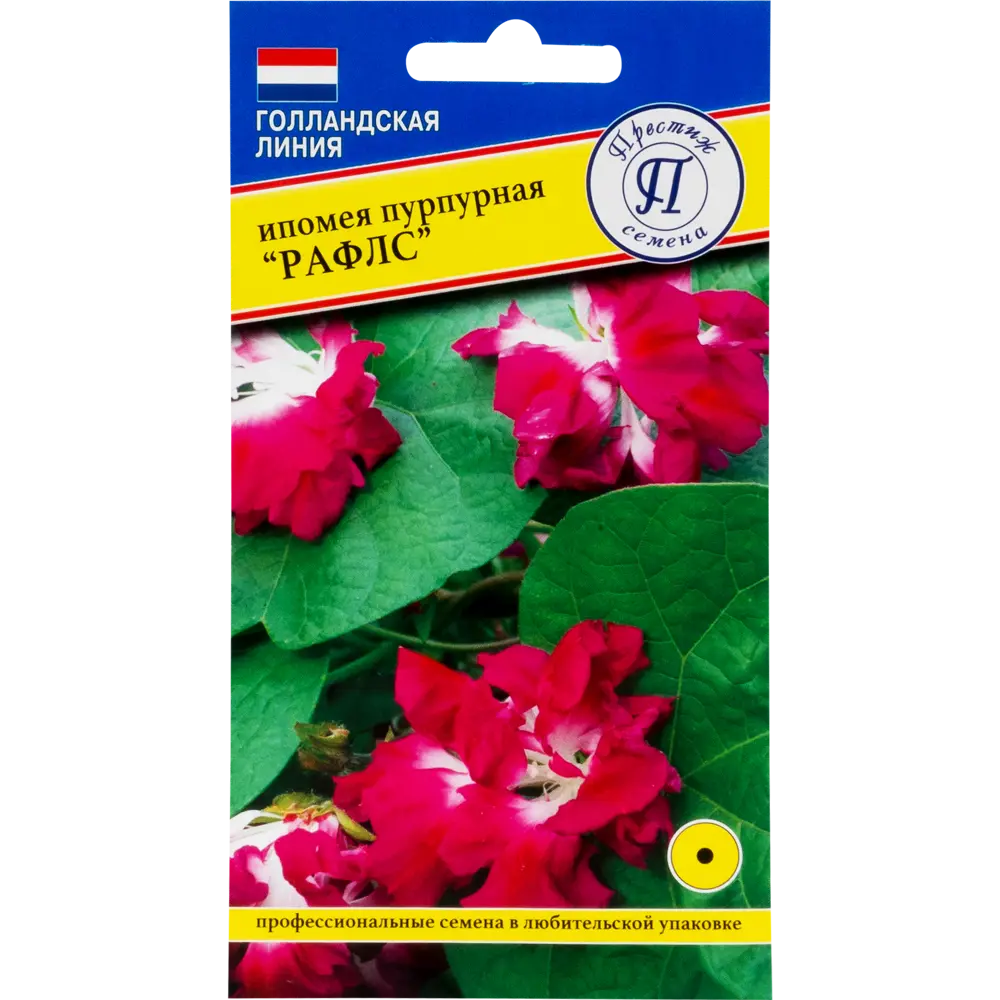 Ипомея «Рафлс» цвет пурпурный 13895157 STLM-2081855 Santreyd 