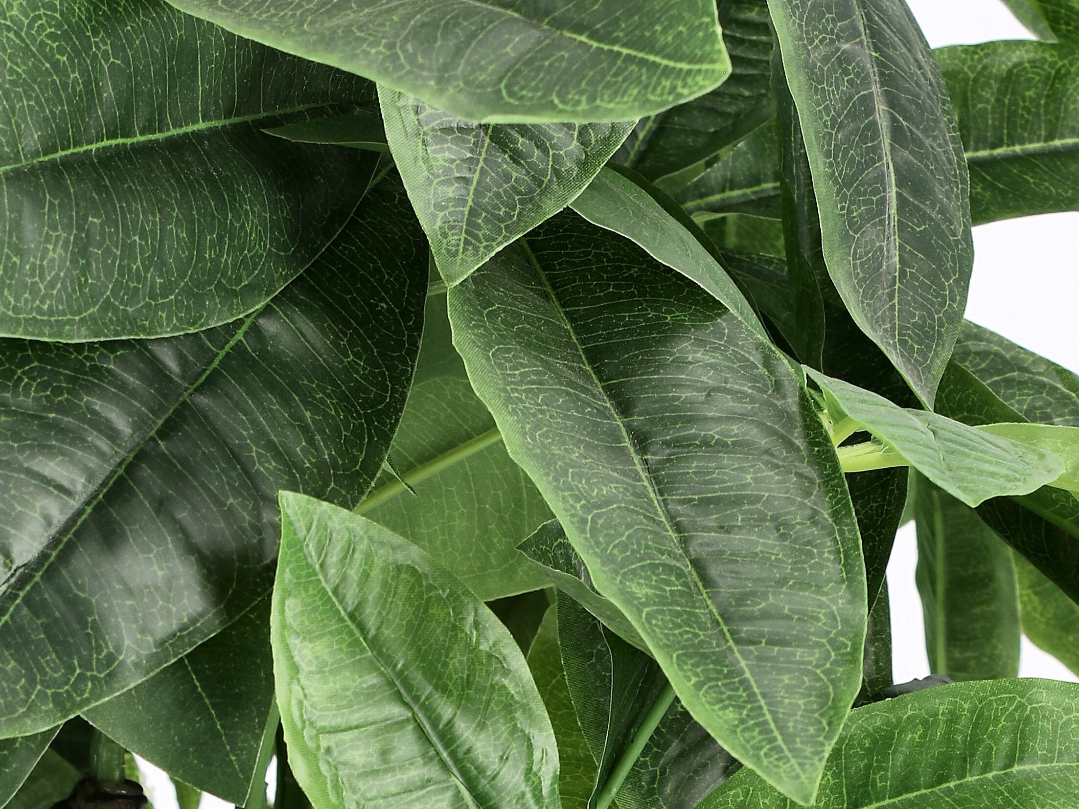 Искусственное растение BIZZOTTO PACHIRA AQUATICA H120 ARCH-00012339