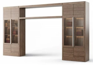 DWFI Книжный шкаф из фанерованной древесины с подсветкой  00002186