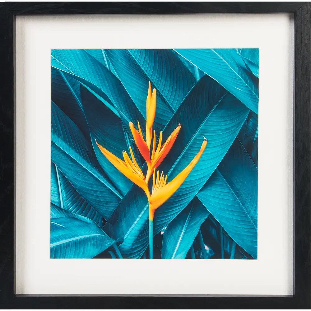 Картина в раме «Тропический цветок» 35x35 см Santreyd STLM-2148410